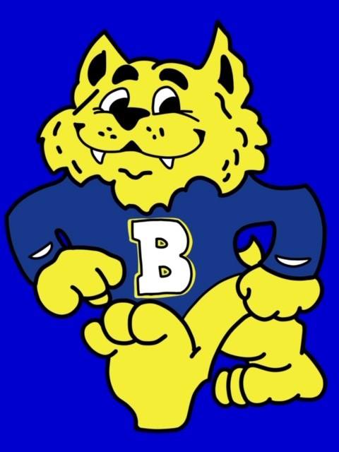 Bonham Bobcats